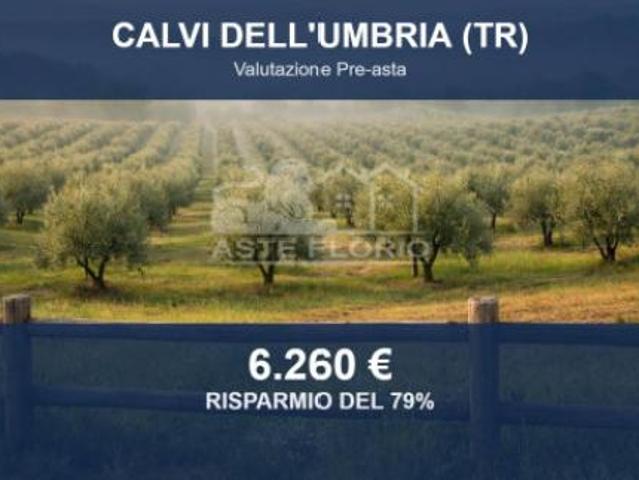 Terreno in vendita a Calvi Dell'umbria, Umbria