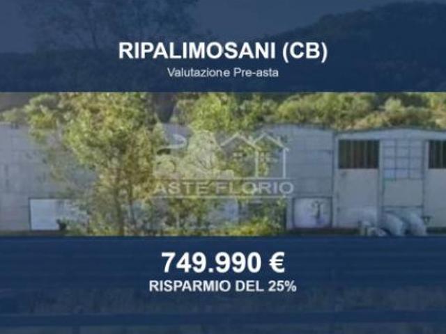 Capannone in vendita a Ripalimosani, Molise
