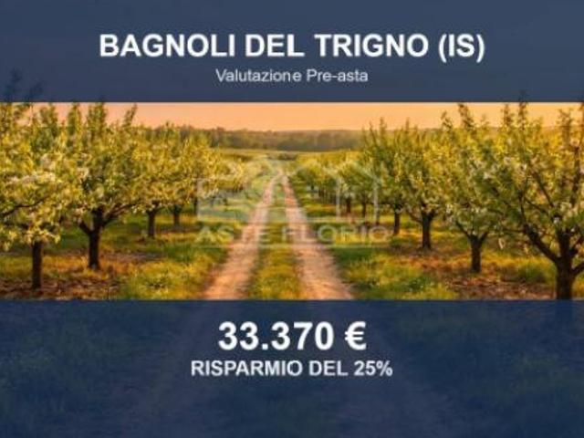 Terreno in vendita a Bagnoli Del Trigno, Molise