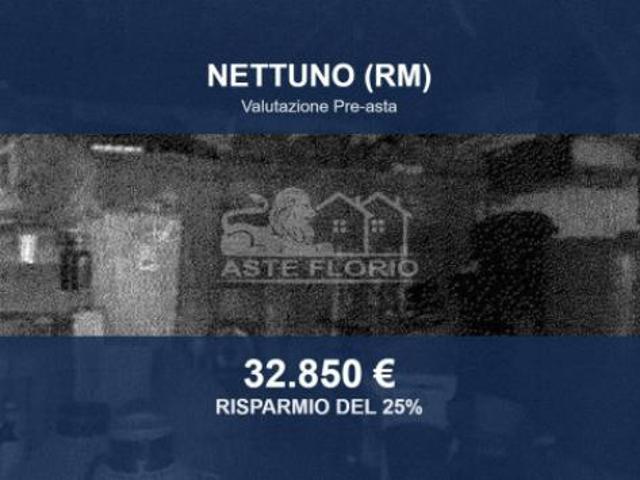 Capannone in vendita a Nettuno, Roma Capitale