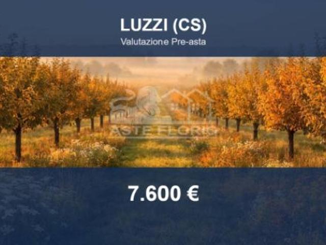 Terreno in vendita a Luzzi, Cosenza