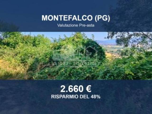 Terreno in vendita a Montefalco, Perugia