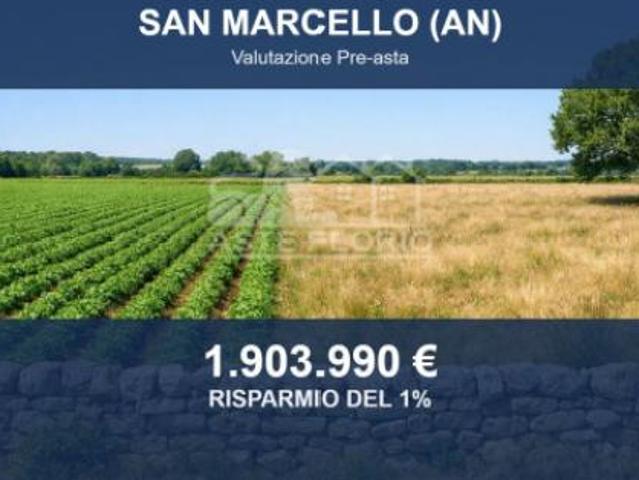 Terreno in vendita a Marche, Ancona