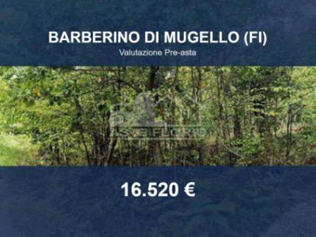 Terreno in vendita a Barberino Di Mugello, Toscana