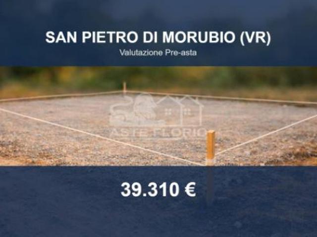 Terreno in vendita a San Pietro Di Morubio, Veneto