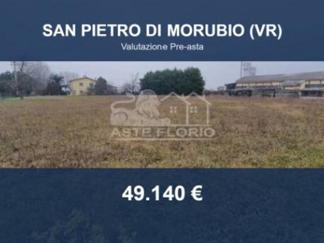 Terreno in vendita a San Pietro Di Morubio, Veneto