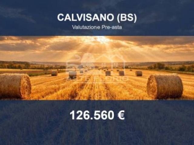 Terreno in vendita a Calvisano, Lombardia