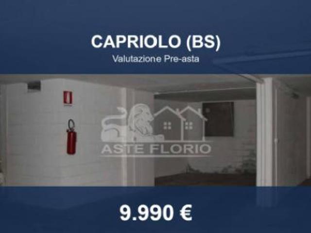Box in vendita a Capriolo, Lombardia