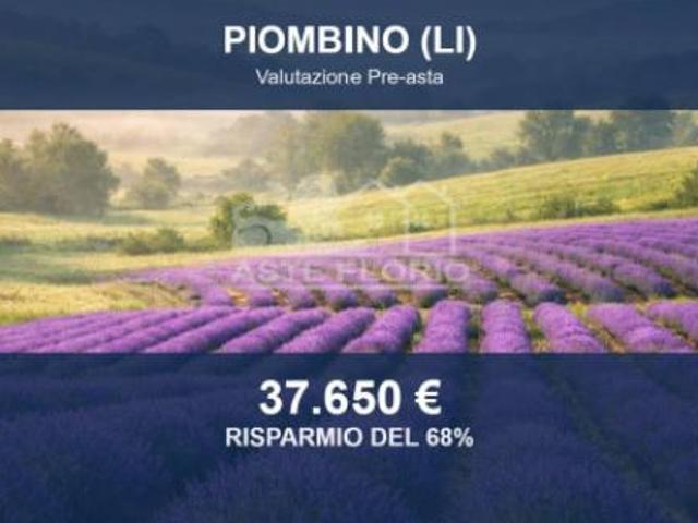 Terreno in vendita a Tolla, Piombino