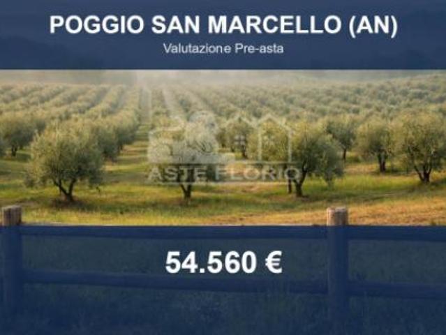 Terreno in vendita a Marche, Ancona