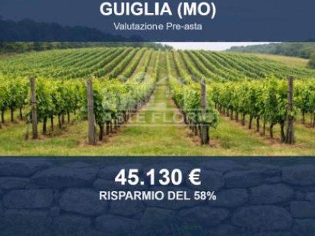 Terreno in vendita a Unione di comuni Terre di Castelli, Guiglia