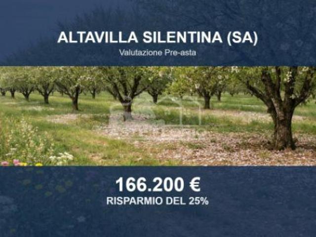 Terreno in vendita a Altavilla Silentina, Campania