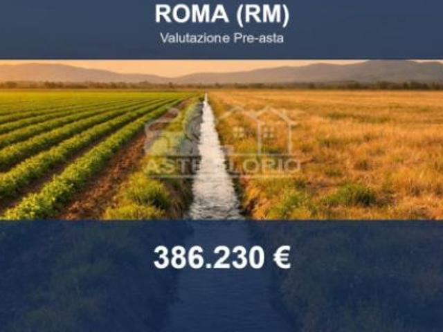 Terreno in vendita a Ponte Galeria, Roma