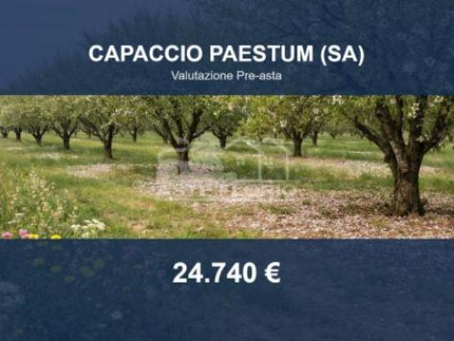 Terreno in vendita a Capaccio, Campania