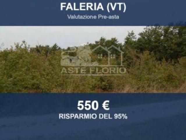 Terreno in vendita a Faleria, Lazio