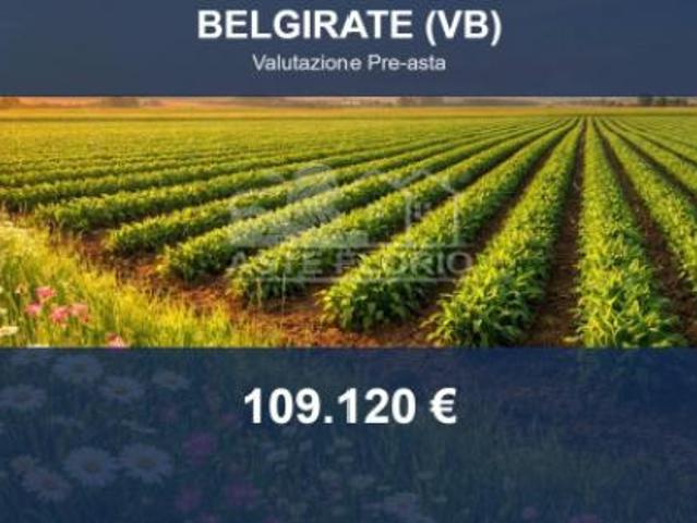 Terreno in vendita a Piemonte, Verbano-cusio-ossola