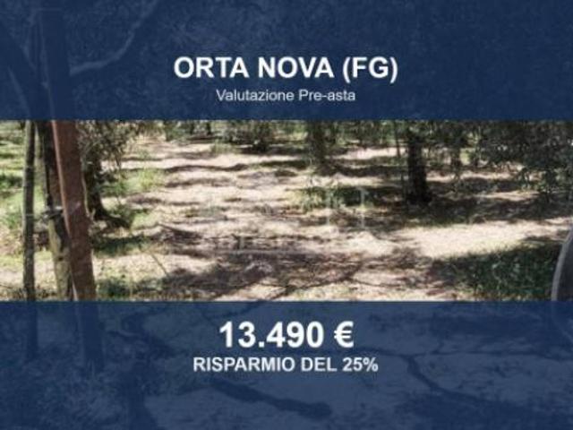 Terreno in vendita a Puglia, Foggia