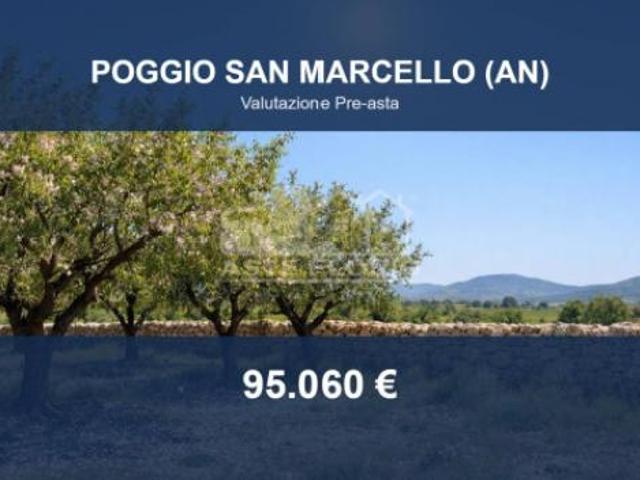 Terreno in vendita a Marche, Ancona