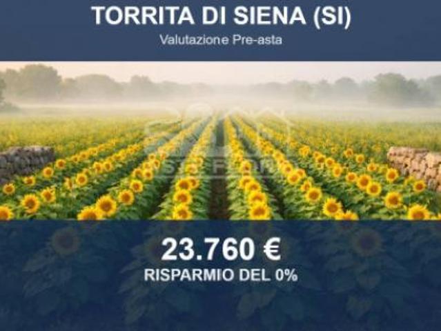 Terreno in vendita a Torrita, Toscana