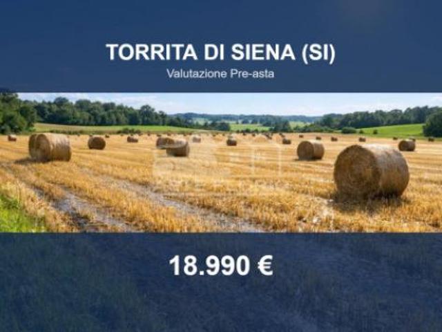 Terreno in vendita a Torrita di Siena, Siena