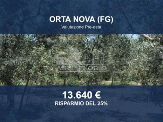 Terreno in vendita a Puglia, Foggia