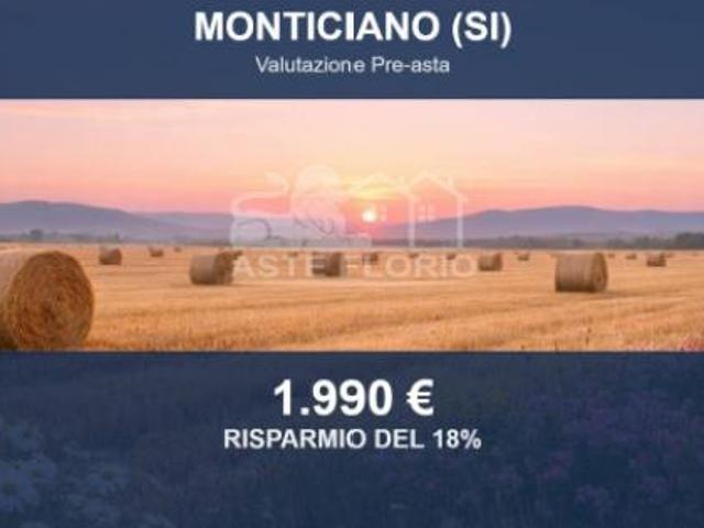 Terreno in vendita a Monticiano, Toscana