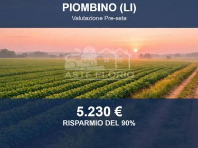Terreno in vendita a Tolla, Piombino