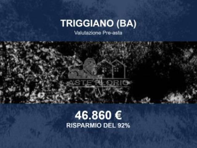 Terreno in vendita a Municipio 1, Puglia