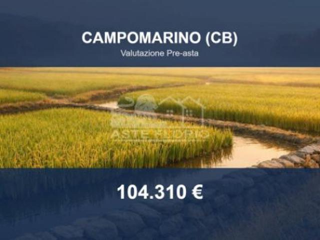 Terreno in vendita a Campomarino, Molise