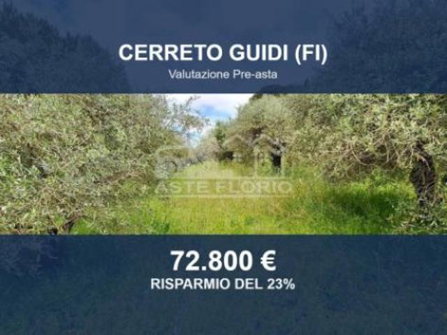 Terreno in vendita a Unione dei Comuni Circondario dell'Empolese Valdelsa, Cerreto Guidi