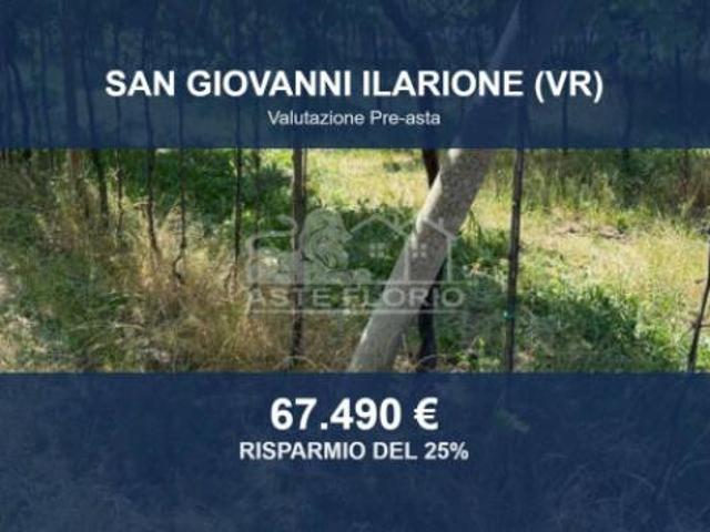 Terreno in vendita a San Giovanni Ilarione, Veneto
