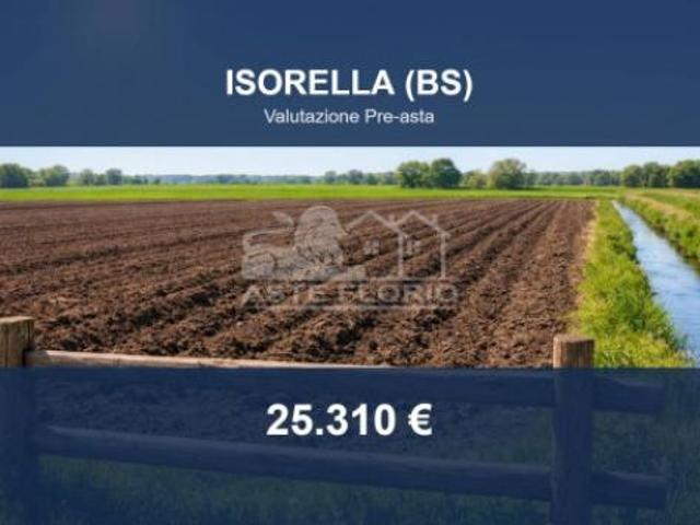Terreno in vendita a Isorella, Lombardia