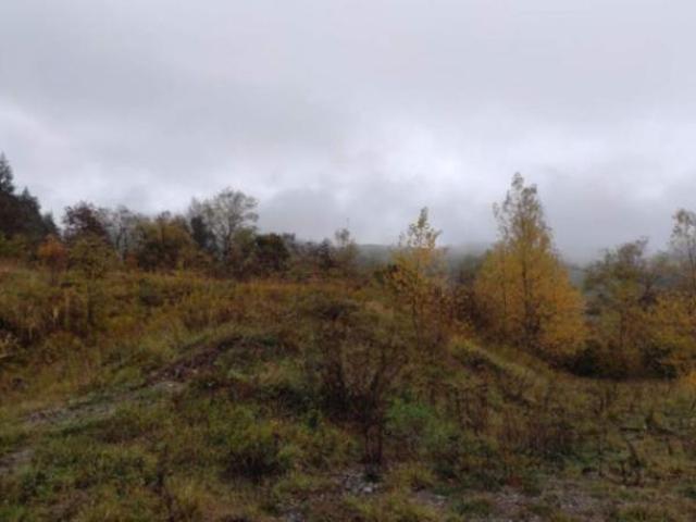 Terreno in vendita a Firenzuola, Toscana