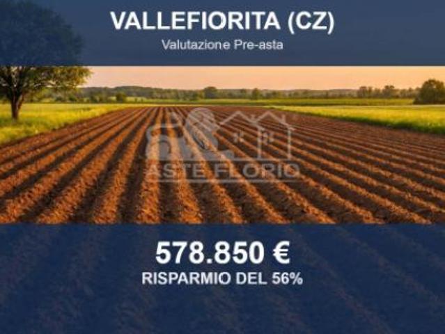 Terreno in vendita a Calabria, Catanzaro