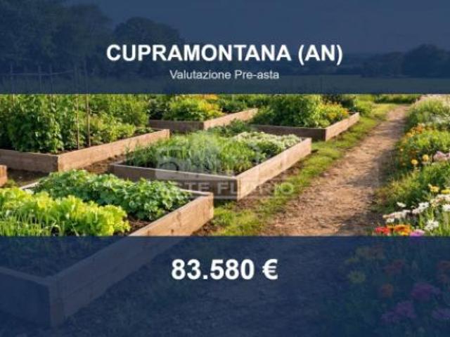 Terreno in vendita a Marche, Ancona