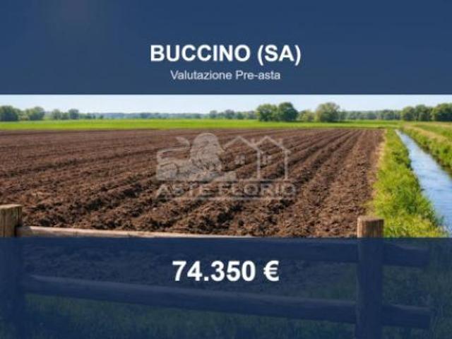 Terreno in vendita a Buccino, Campania