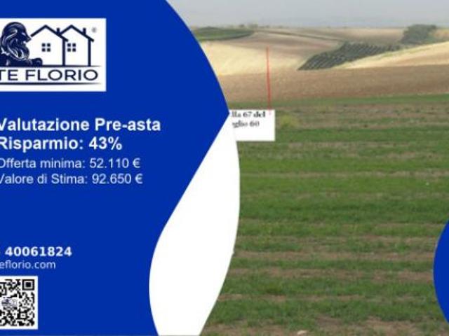 Terreno in vendita a Lavello, Basilicata