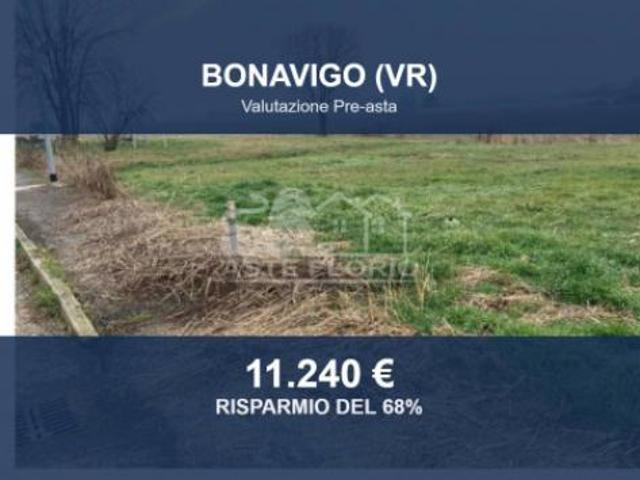 Terreno in vendita a Bonavigo, Veneto