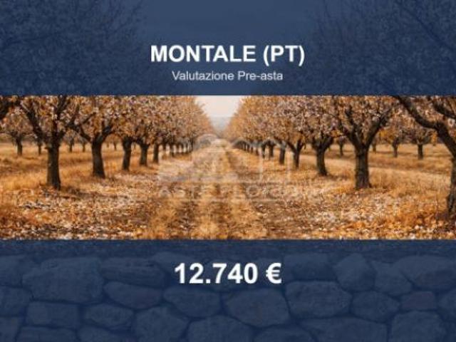 Terreno in vendita a Montale, Toscana