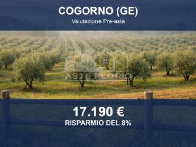 Terreno in vendita a Cogorno, Liguria