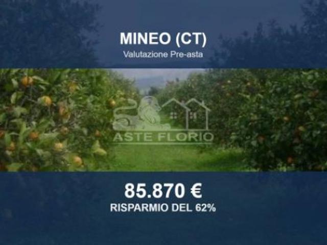 Terreno in vendita a Mineo, Sicilia