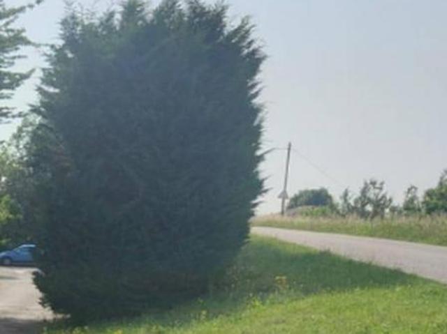 Terreno in vendita a Sermide e Felonica, Moglia Di Sermide