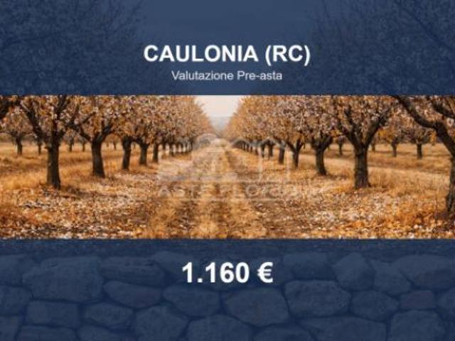 Terreno in vendita a Calabria, Reggio Calabria