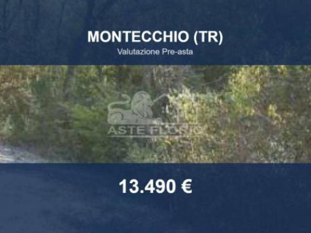 Terreno in vendita a Montecchio, Umbria