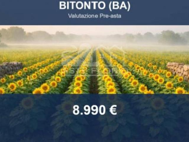 Terreno in vendita a Puglia, Bari