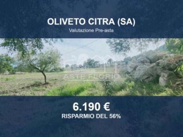Terreno in vendita a Oliveto Citra, Salerno