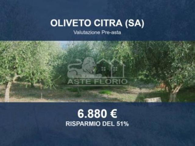 Terreno in vendita a Oliveto Citra, Campania