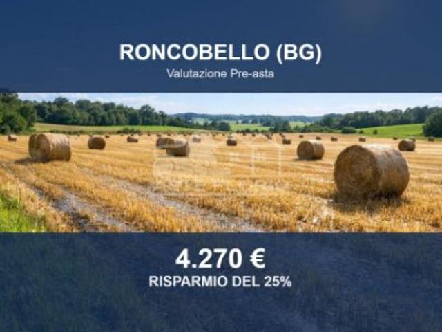 Terreno in vendita a Comunità Montana della Valle Brembana, Roncobello