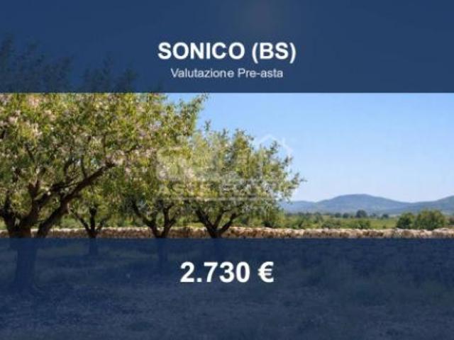 Terreno in vendita a Comunità montana della valle Camonica, Sonico