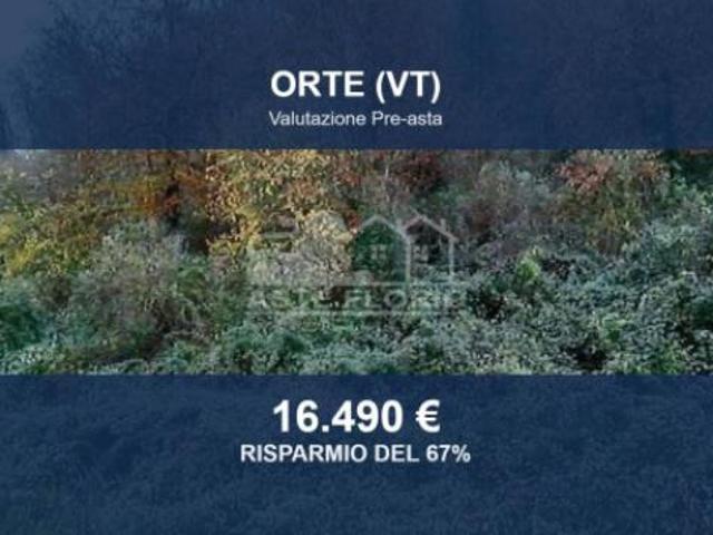 Terreno in vendita a Orte, Lazio